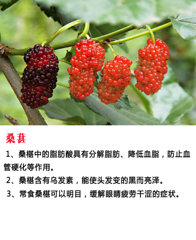 1种水果治1种病，比吃药管用多了！