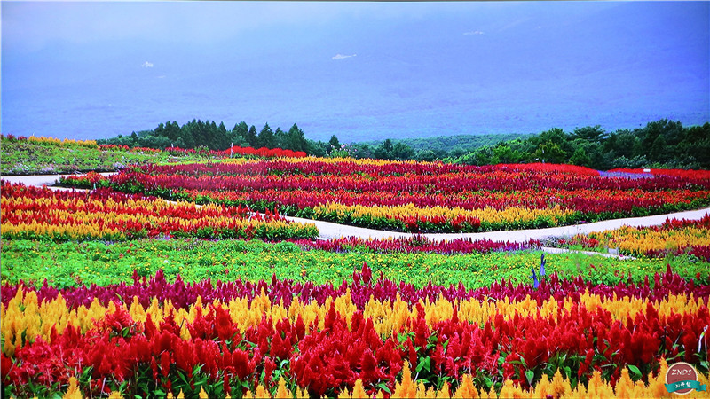 高颜值，大内存！全能影音小霸王—开博尔芒果月光宝盒X5评测