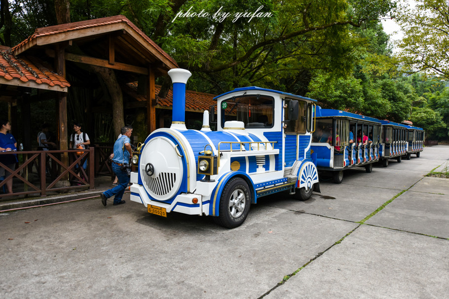 一溪九曲碧涟漪，人间仙境在武夷
