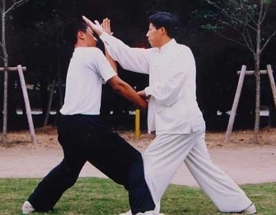 河南有什么拳,河南最凶恶拳种