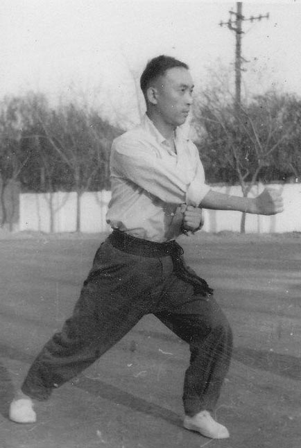 河南有什么拳,河南最凶恶拳种