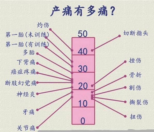 生孩子真的有断10根肋骨那么痛吗,分娩相当于断了几根肋骨