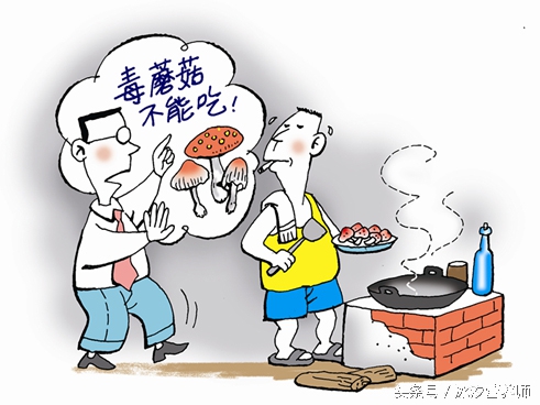 夫妻俩误食野生菌,红菇的毒性有多可怕