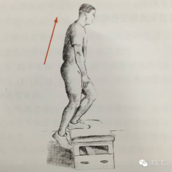 前交叉韧带重建术后还能打球吗,前交叉韧带重建术后康复训练pdf