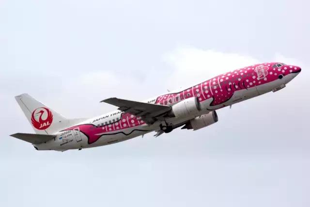 全日空哆啦a梦彩绘机,日本推出哆啦a梦客机