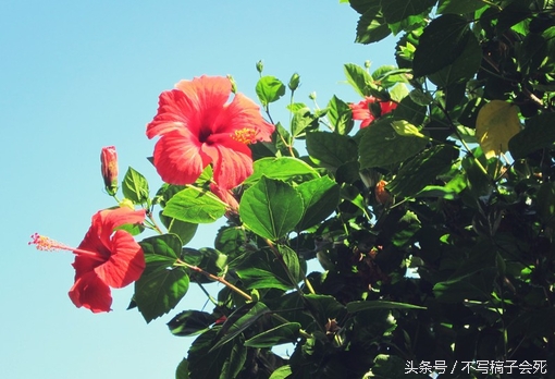 老公屏蔽了我的朋友圈,老公屏蔽我们的朋友圈