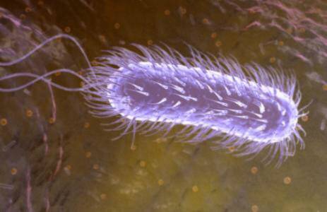 幽门螺旋杆菌总是治不好怎么办,幽门螺旋杆菌一直治不好怎么办