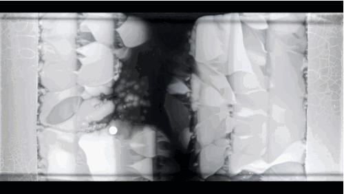 幸存者战争,幸存者之战最新全部章节在线阅读