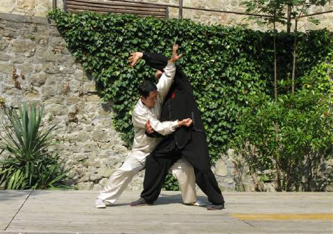 河南有什么拳,河南最凶恶拳种