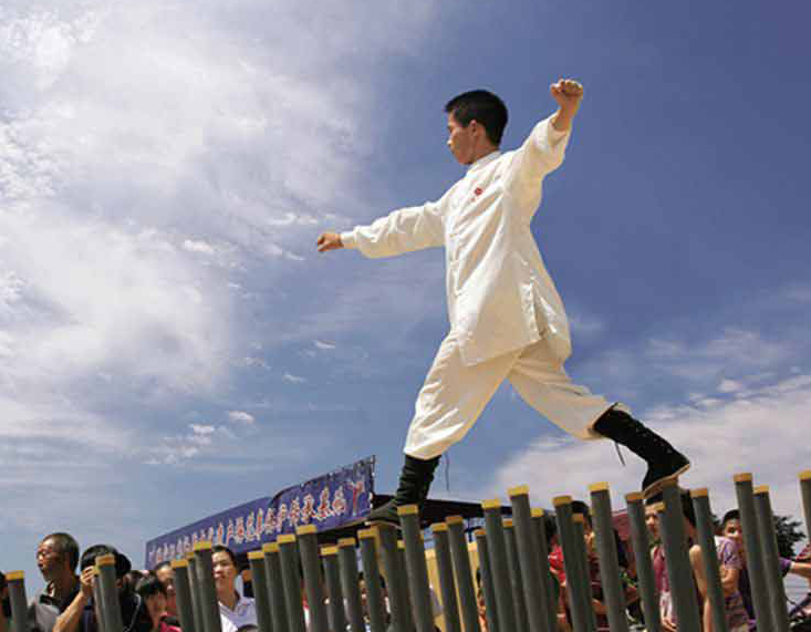 河南有什么拳,河南最凶恶拳种