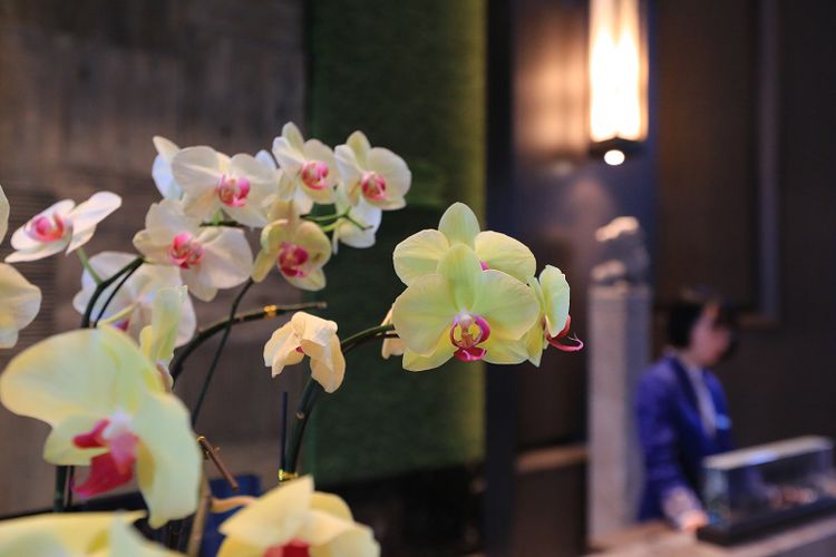 安徽合肥·中秋游万达，轻奢度时光