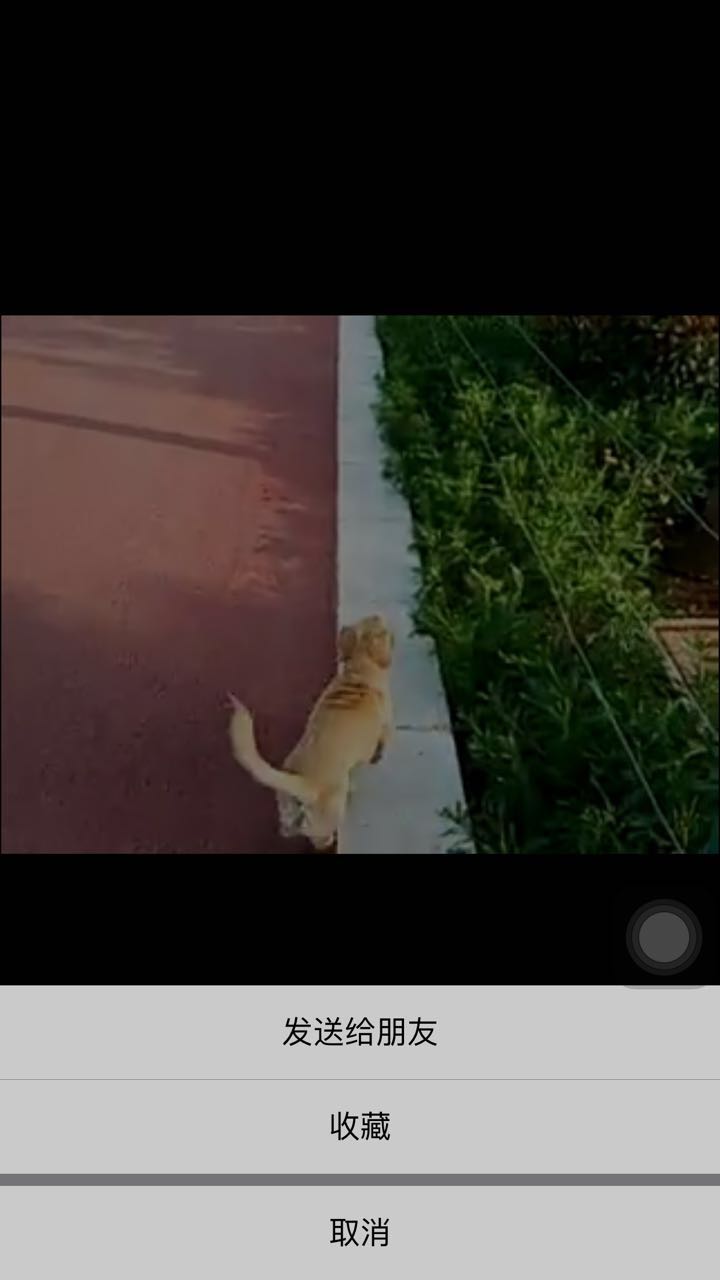 微信朋友圈视频怎么在电脑上保存,微信小视频怎么保存到电脑桌面