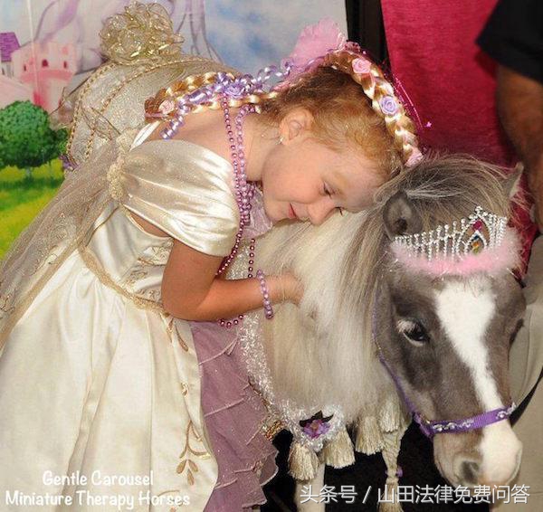 可爱迷你小马视频,超萌小马