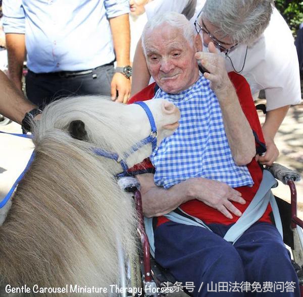 可爱迷你小马视频,超萌小马