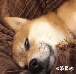 五人足球中场休息,足球比赛中场休息表演