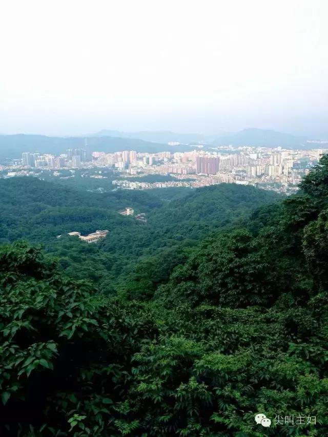 广州最好的温泉度假酒店,广州适合的休闲度假酒店