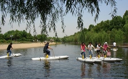 国庆带狗狗适合去哪玩,国庆狗狗出去浪