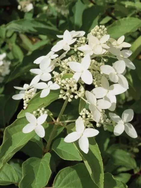 15个高颜值花园庭院设计,冬日无阳光的后花园庭院设计