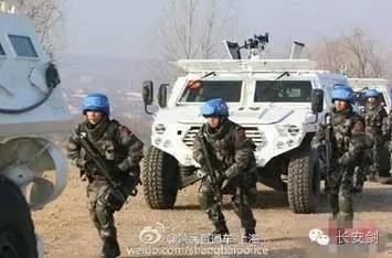 南苏丹维和故事：拯救“总指挥”“鸡毛信”营地捣乱的狒狒