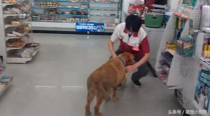 榛勯噾鐚庣姮鐙楀彨,榛勯噾鐚庣姮