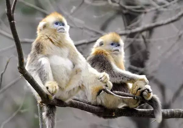 如果你来广元，我才不带你去剑门关嘞！