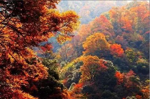 如果你来广元，我才不带你去剑门关嘞！