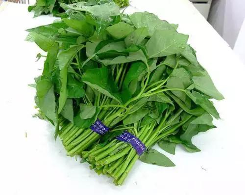 健康养生食物你学会了吗,24种健康养生的食物