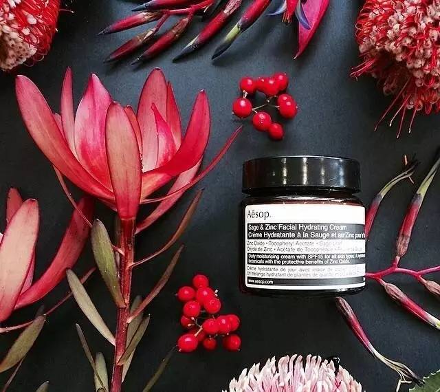 澳洲aesop是什么牌子,澳洲aesop化妆品怎么样