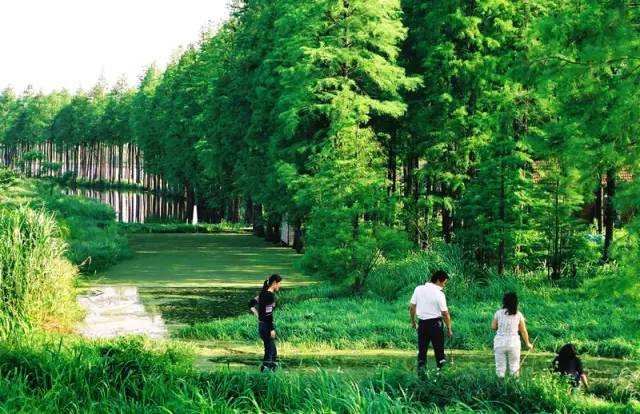 武汉十大漂亮女神,武汉最漂亮的十个女人