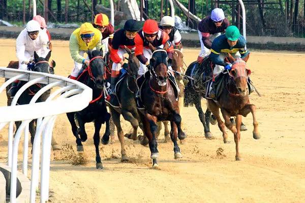 武汉十大漂亮女神,武汉最漂亮的十个女人