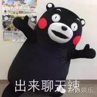 马浚伟杨怡金猪,杨怡金猪