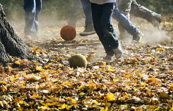 足球狗保暖吗,足球初学者的关注事项