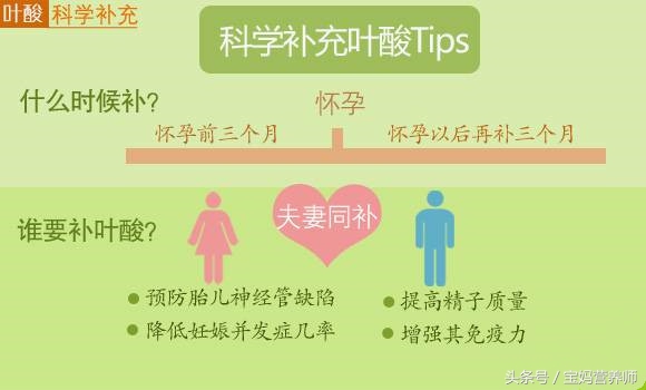 怀孕叶酸多吃宝宝会更聪明吗,孕早期叶酸该如何补充每天摄入量