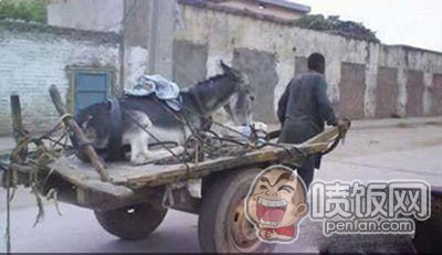 大哥您这样穿，裤裆不会很难受吗