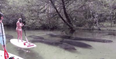 今天是我生日，我决定要破费一下