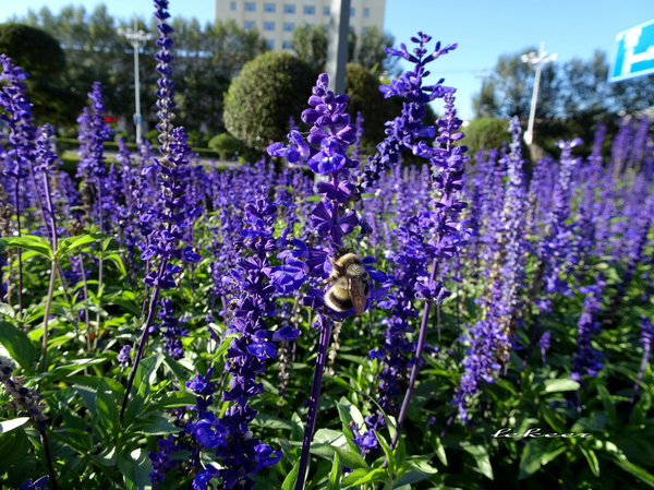 额滴个神！一枚老男人居然在黑河疯狂购物直到手软！