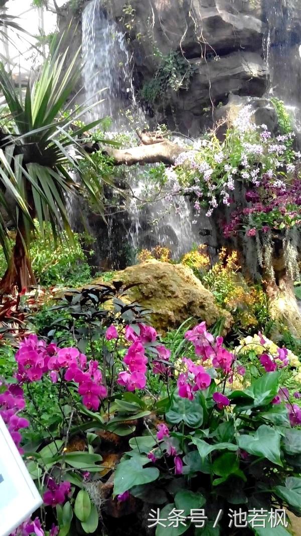 青岛，女汉子和小清新提前过端午