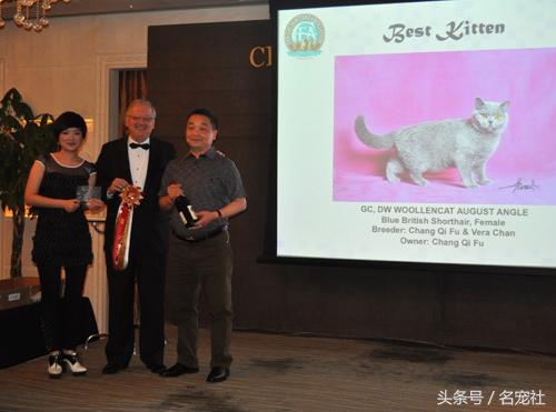 蓝氏猫咪猫粮,蓝氏猫粮猫舍版