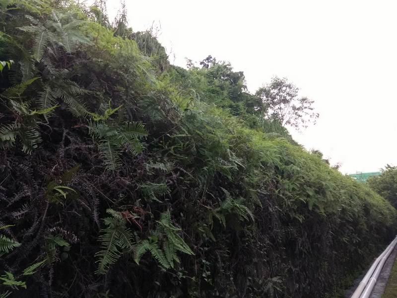 千元机有屏幕指纹解锁的,千元机指纹解锁手机