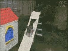 GIF|马拉松不行，那试试当足球员