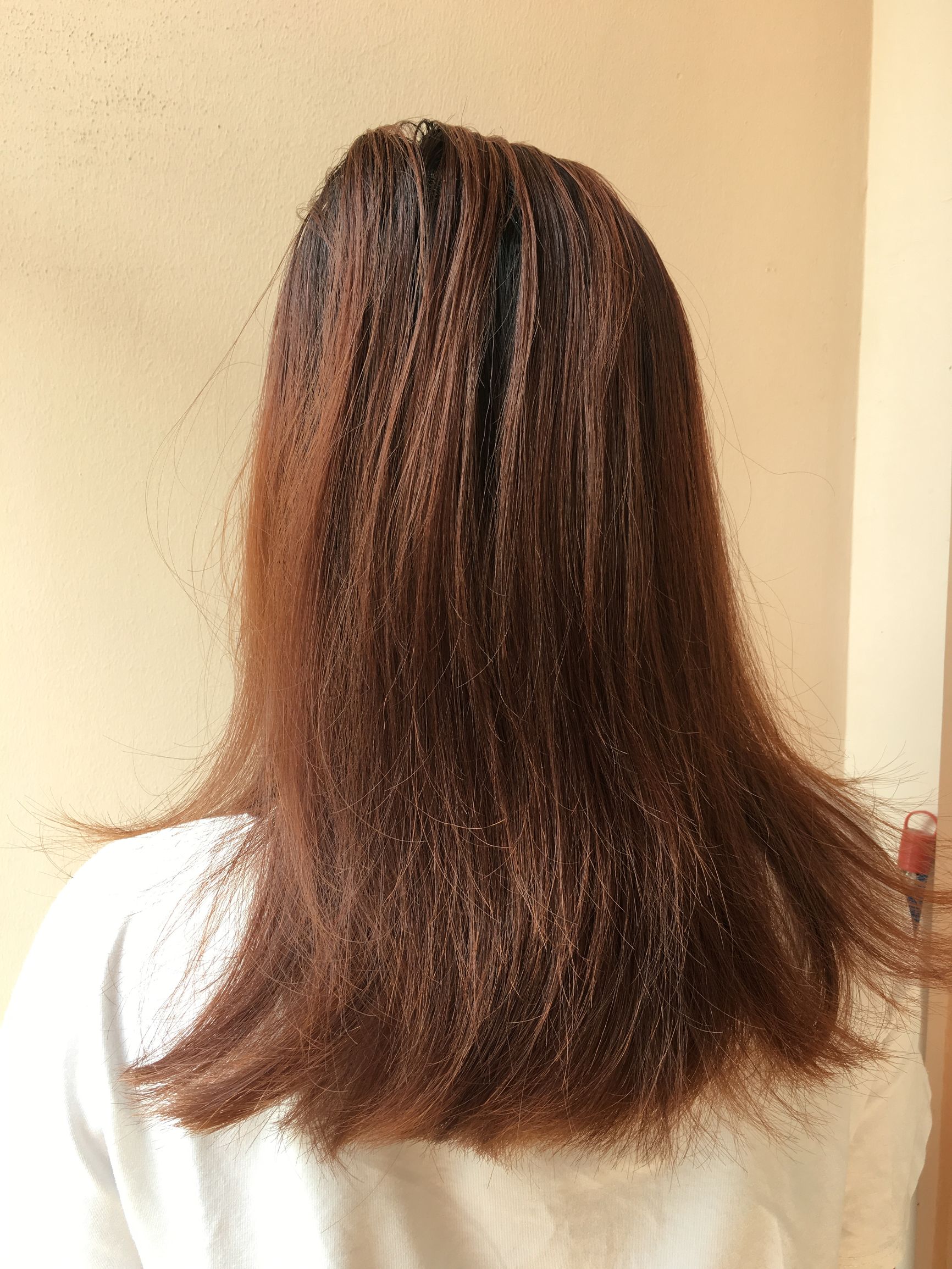 椤烘粦姣涜簛鍙戜笣,姣涜簛鐨勫彂涓濋兘鍙樺緱椤烘粦