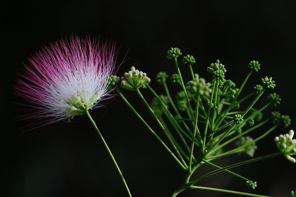 喉咙有异物吐不出来咽不下去又痒,喉咙有异物吐不出来咽不下去有血