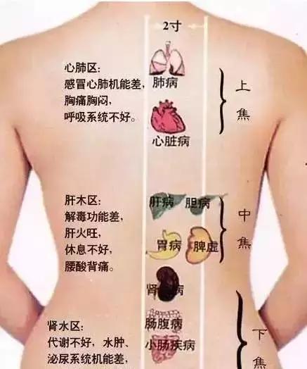 为什么女人胖在腰部真相你知道吗,为什么女人腰腹部会胖