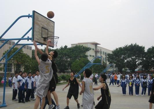 野球场排名前十,野球场球员排名