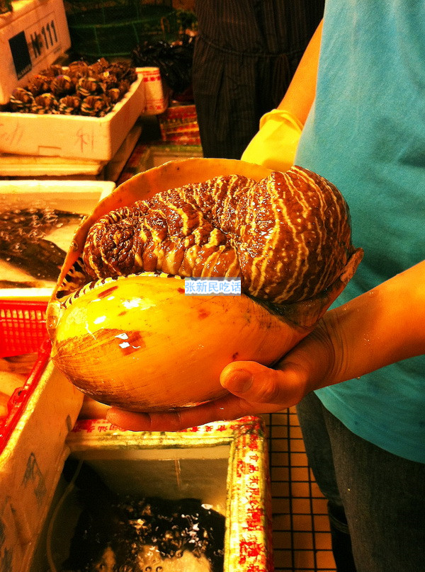 红螺也叫椰子涡螺，潮州旧志称其“壳红肉劲”，很考较厨师的工夫