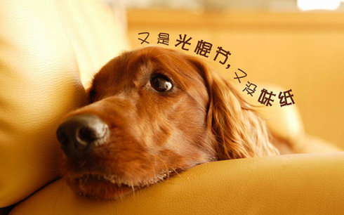 如果搭讪的女生有男朋友怎么办,搭讪的女生有男朋友怎么办