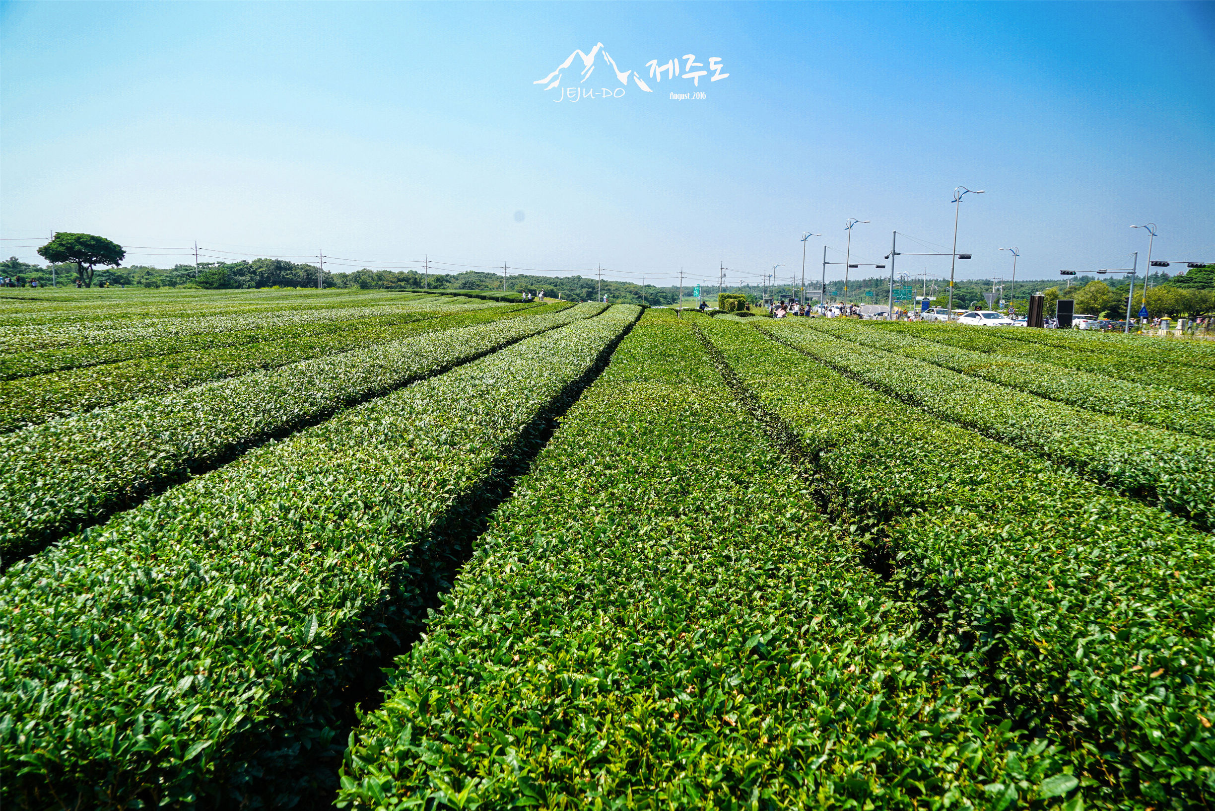 济州岛雨天旅行攻略视频,冬季济州岛亲子游详细攻略