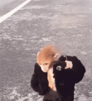 到底还是美女受欢迎！