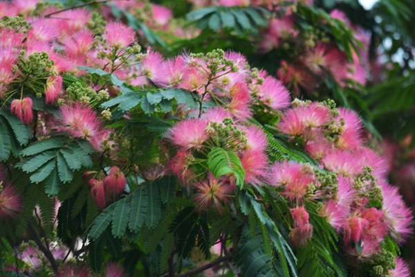 喉咙有异物吐不出来咽不下去又痒,喉咙有异物吐不出来咽不下去有血