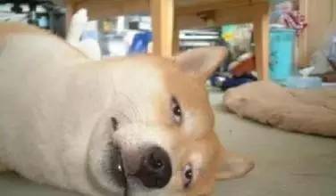 大牌底妆混干测评,混干皮大牌底妆推荐测评